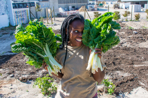 South-Africa-Grootbos-foundation-Masakhane-Community-Garden-6-500x333.jpg