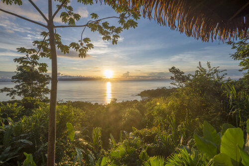 参观哥斯达黎加;帮助雨林再生，教育和其他;社区