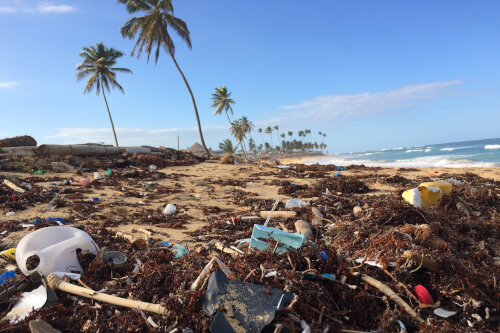 不可持续的生产和消费最终在世界各地的海滩上结束