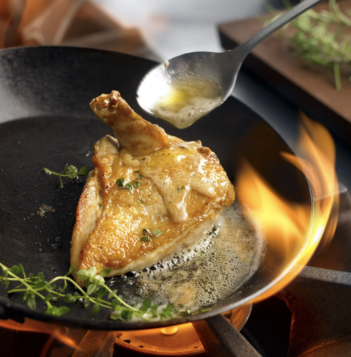 Airline Chicken.1500.jpg