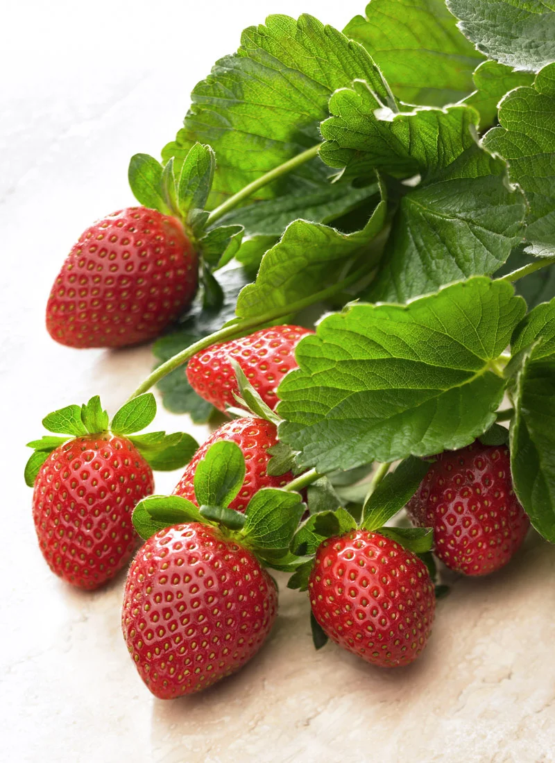 Strawberries1100.jpg