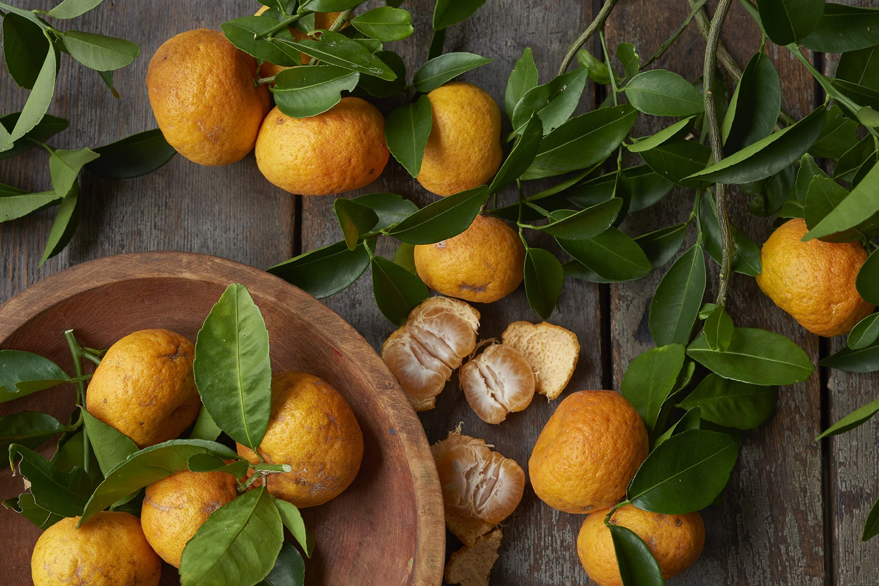 Wild Tangerines Study.1800.jpg
