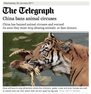 Telegraph.jpg