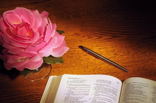 rose-bible-pen-min.jpg