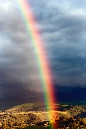 rainbow