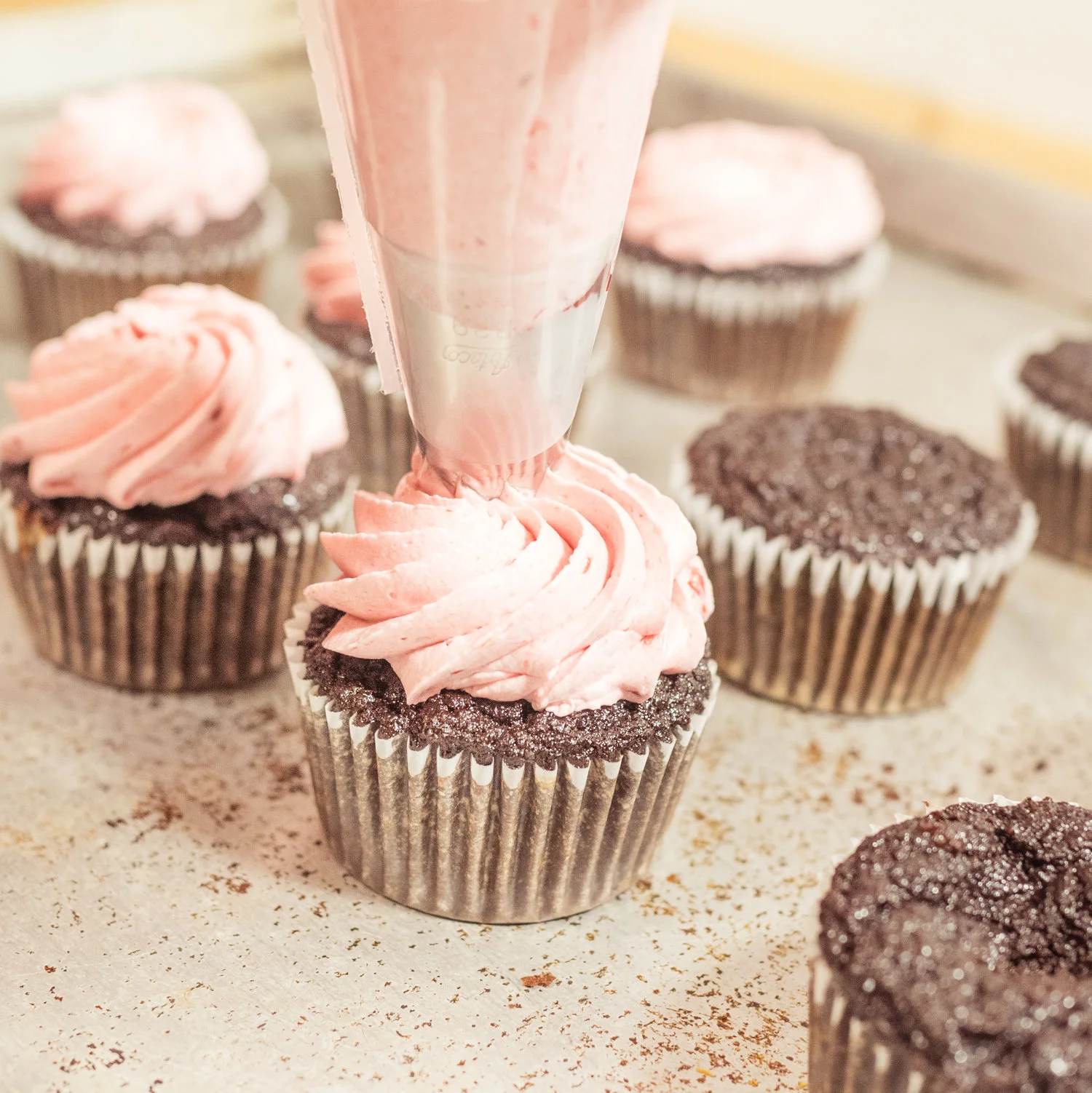 Cupcake1+.jpg