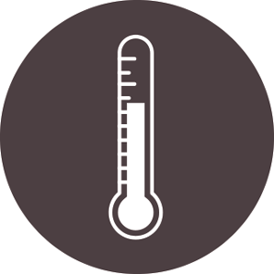 Raw Pet food for Dogs and Cats