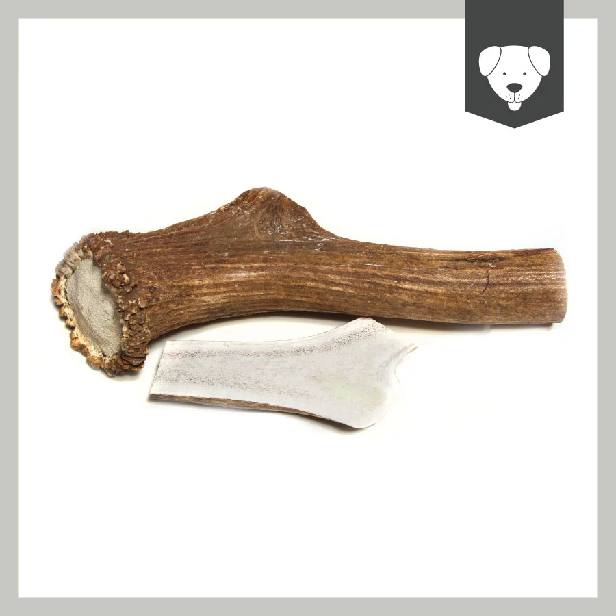 Wild Elk Antler Chew For Dog