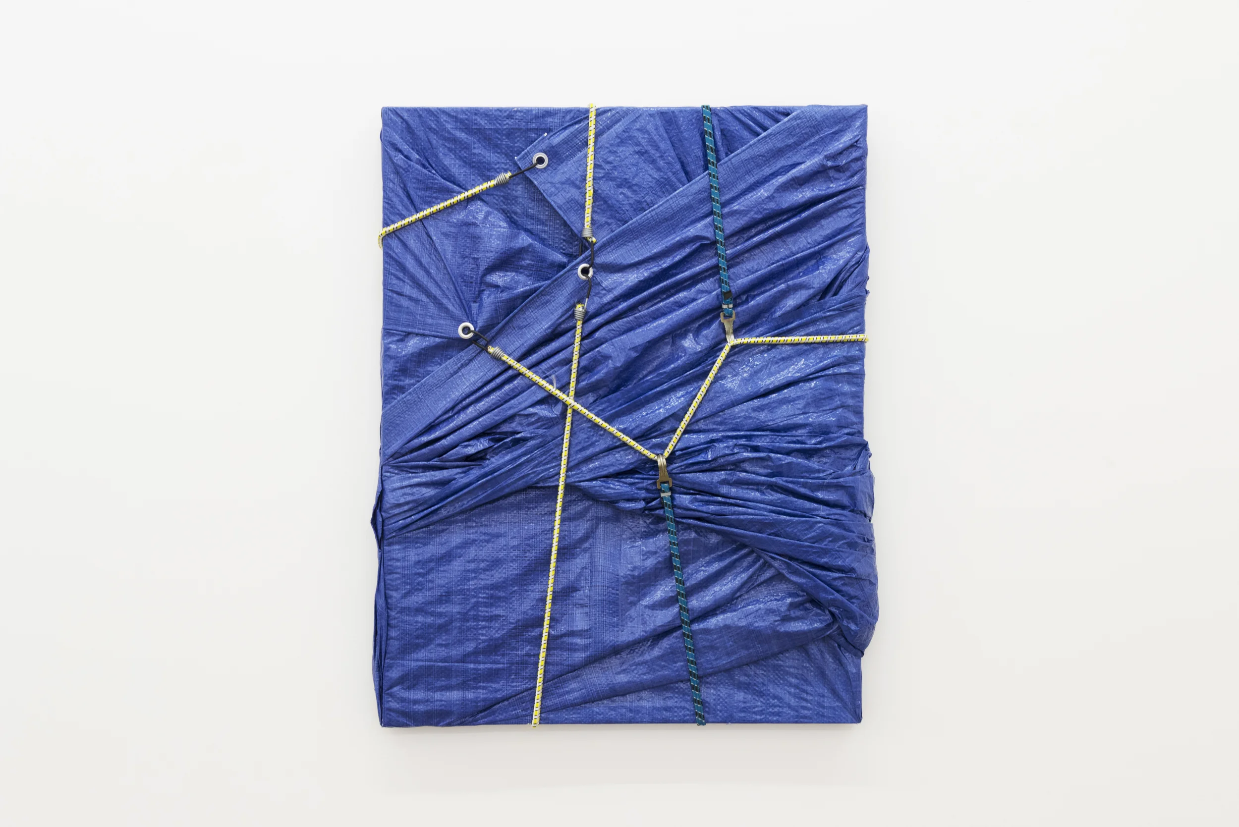 O Ambulante, 2015