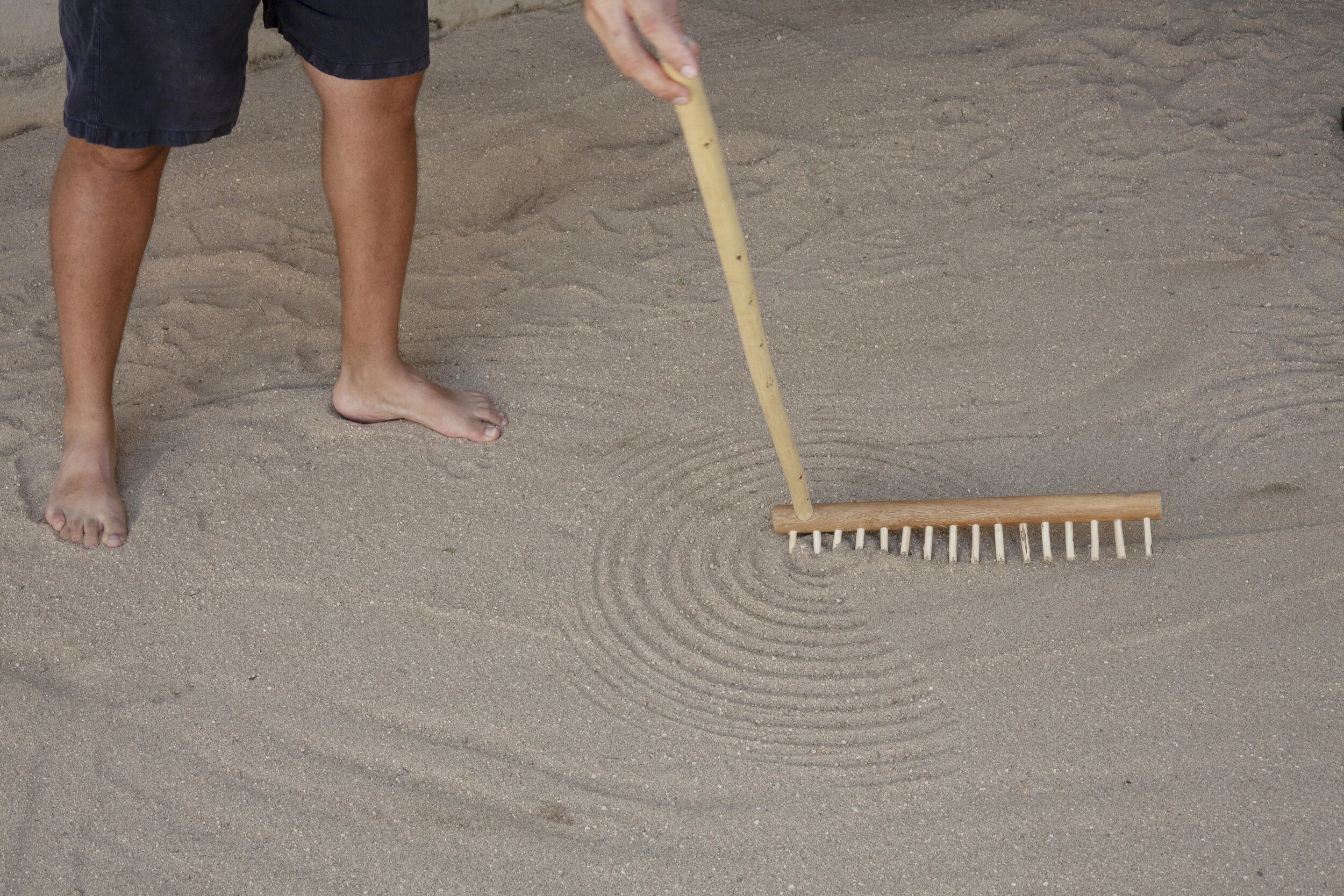 Mano Penalva, Jardim Arado, Casa Wabi, 2021_3.jpg