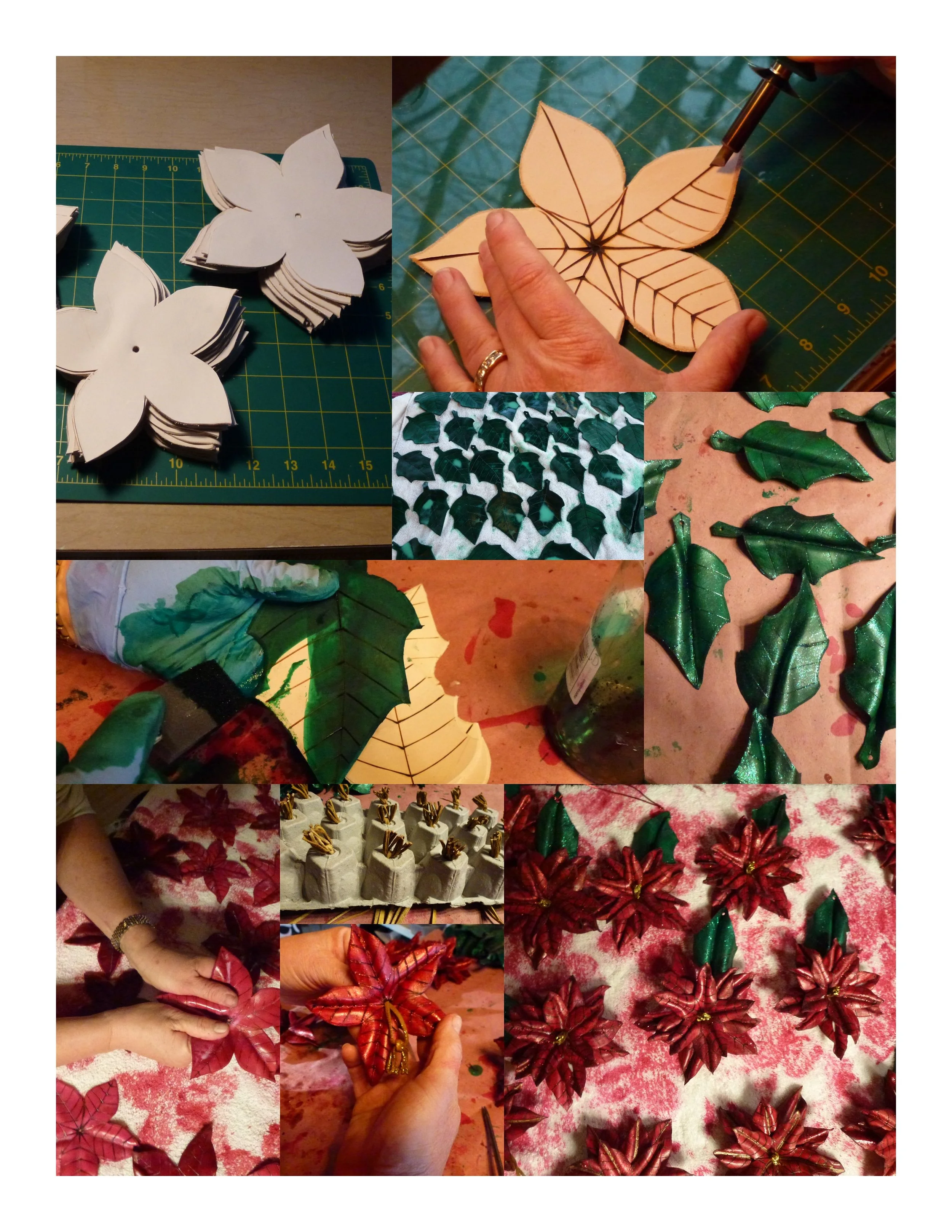 Poinsettia 1.jpg