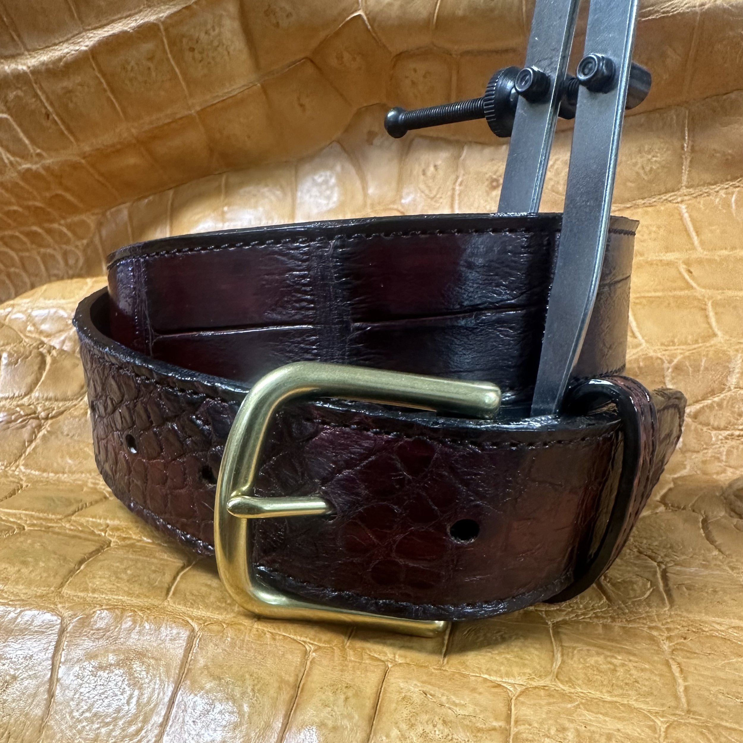 alligator belt