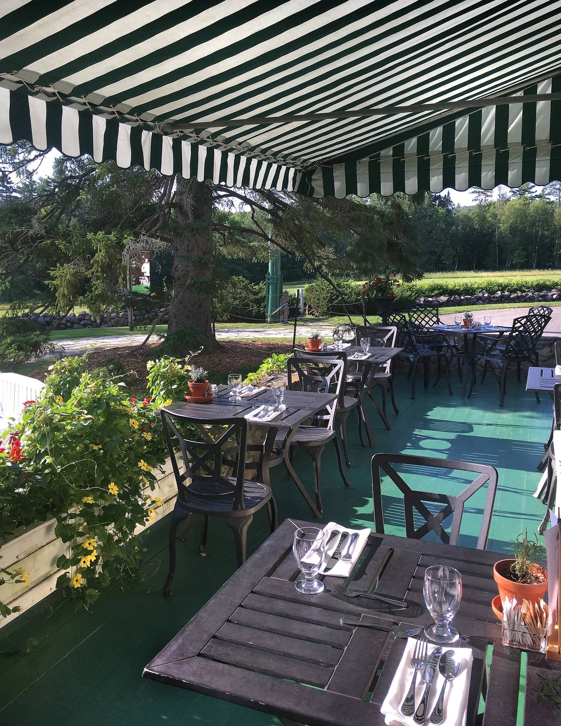 Terrace_image_sml.jpg