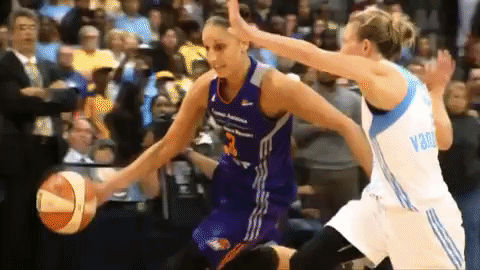 giphy-1.gif