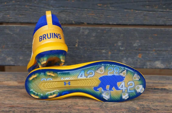 COLOR6674-565x372.jpg