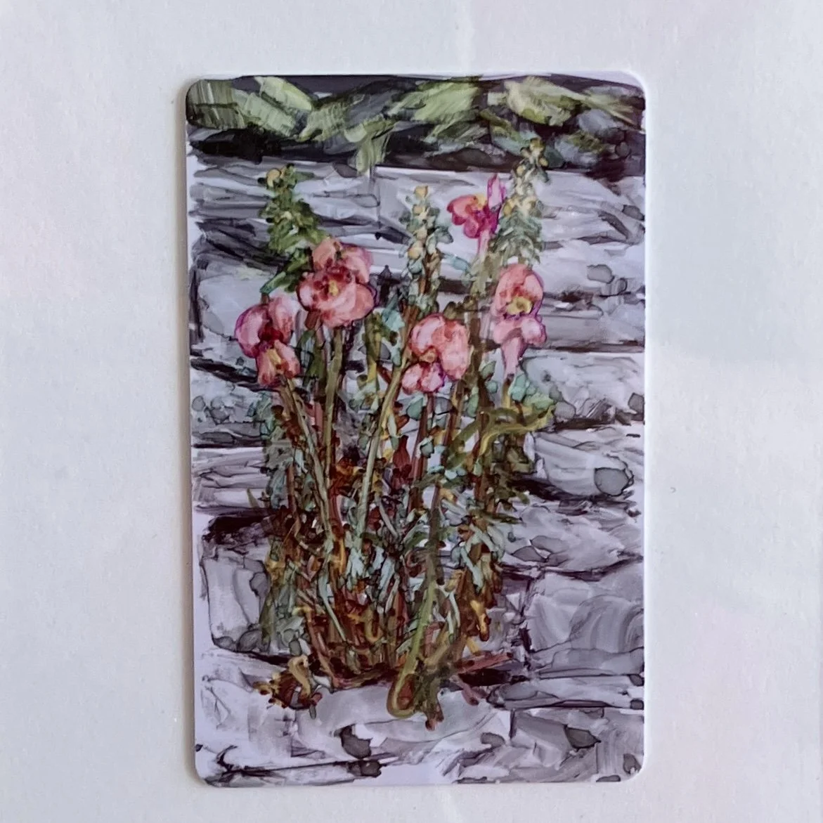 Ruderal Snapdragon - original handmade painting - Italy Challenge 2026 #14