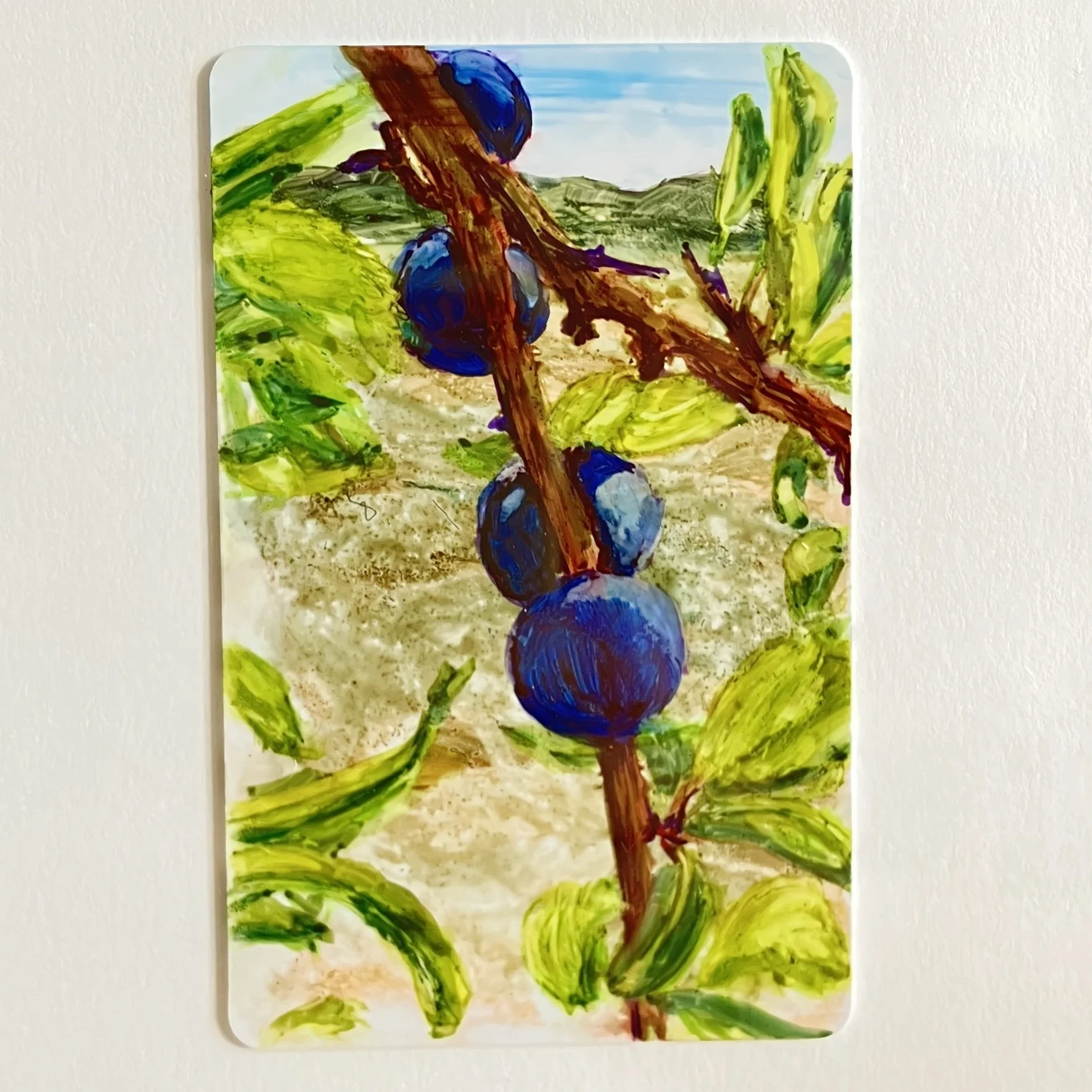 Blackthorn Fruit-original handmade painting - Italy Challenge 2026 #35