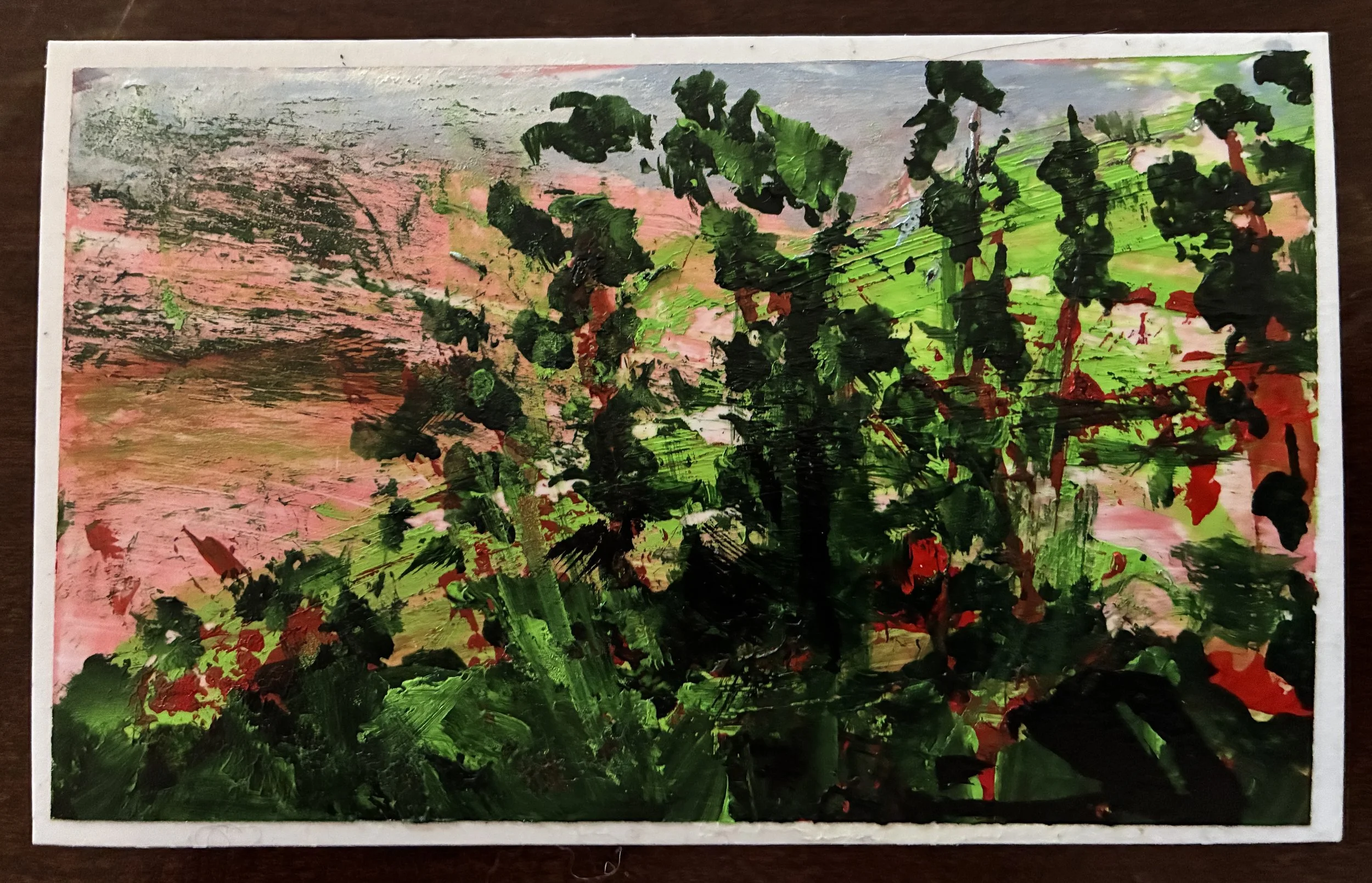 The flowers here bloom all year long - Tropic Landscape #7