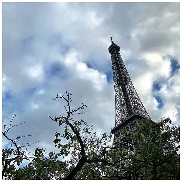 #Paris #jetaime #eiffeltower  #arcdetriomphe #notredamecathedral #palaisgarnier