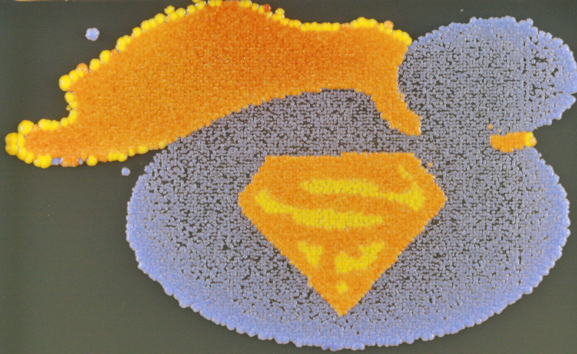 SuperYeast 8.2.JPG