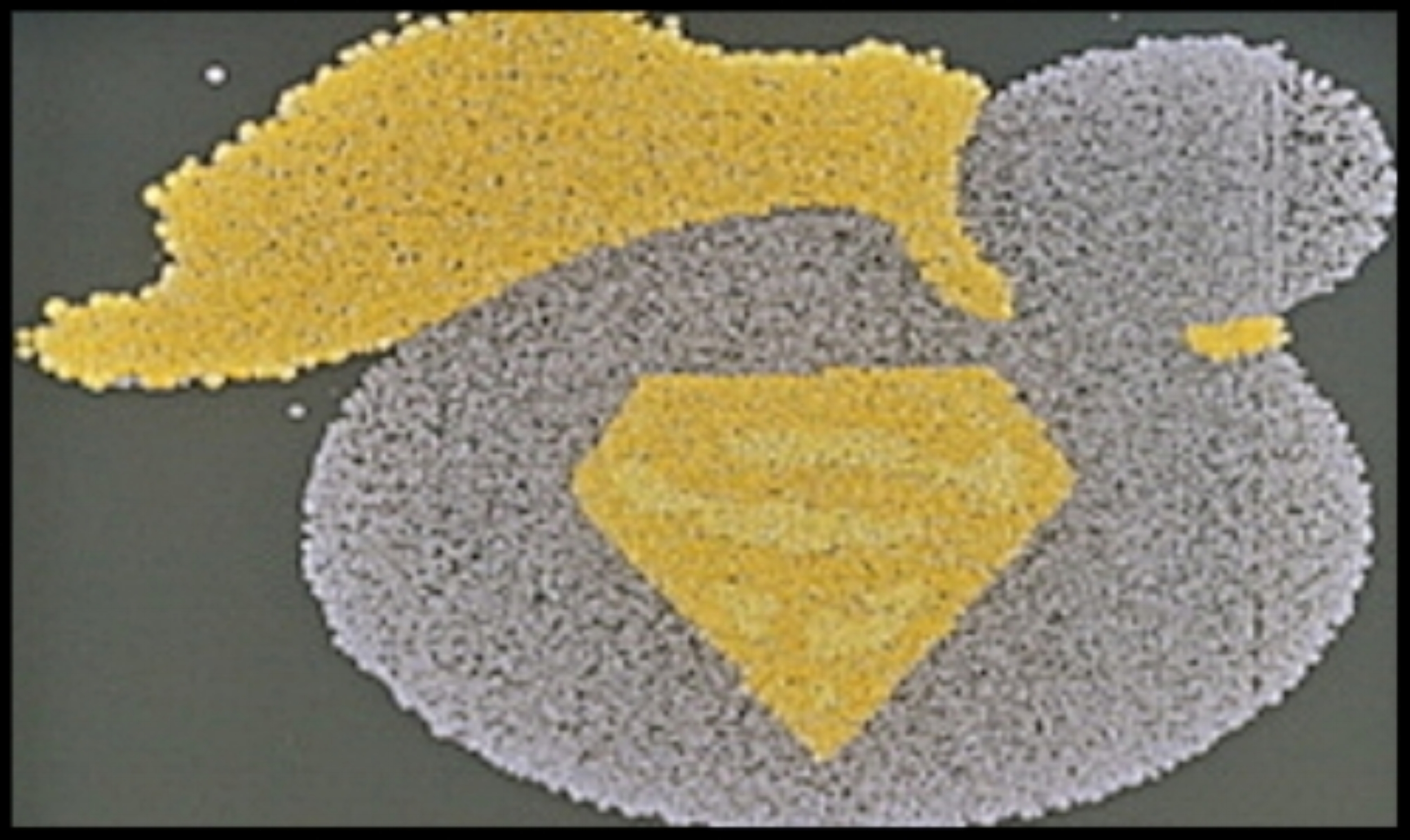 24,576 biopixels - Two days at 30˚C