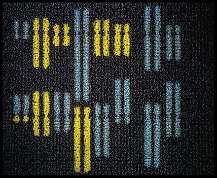 F1.medium.gif
