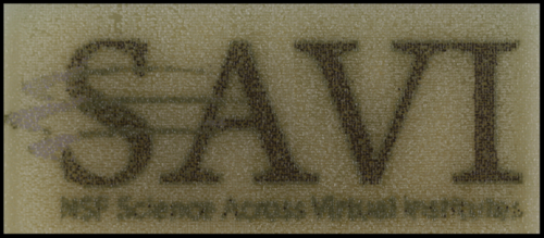 First attempts at yeast art yielded logos in a variety of colored yeast strains