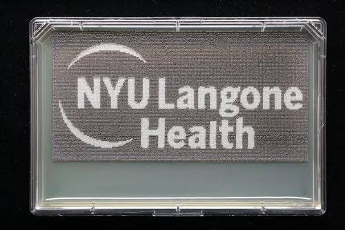 NYU_blackbackground_11.7_11.10.17.jpg