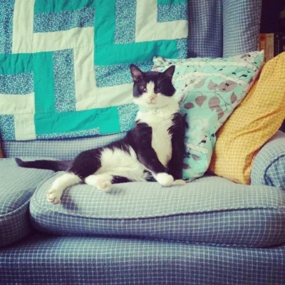 Stephen looking all dapper in his new home!