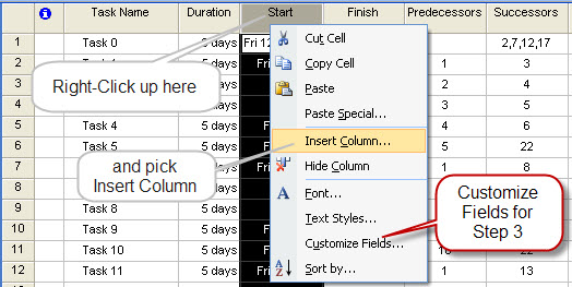 Step 2 and 3: Customize Fields