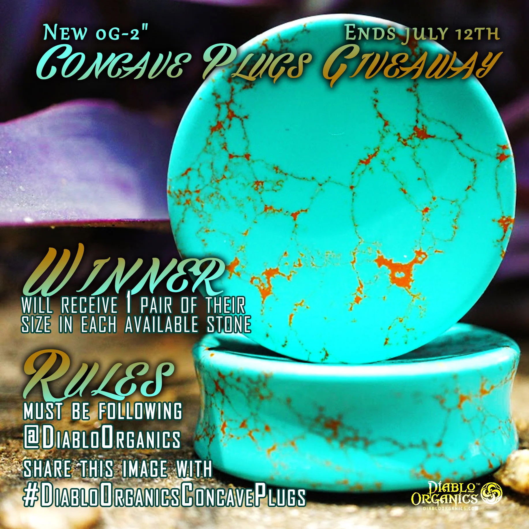 ConcavePlugs_Giveaway_2.jpg