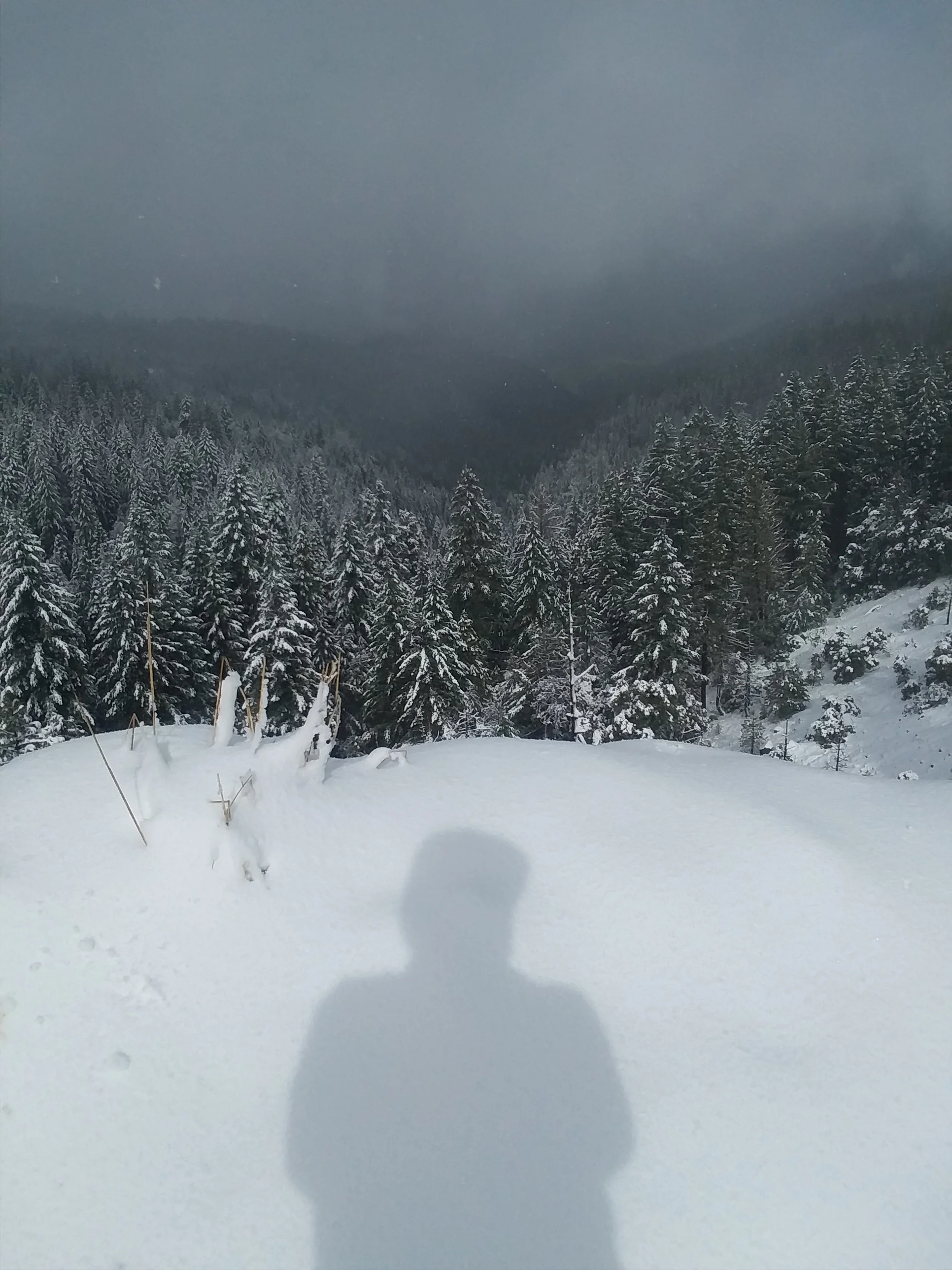 20180125_115906.jpg