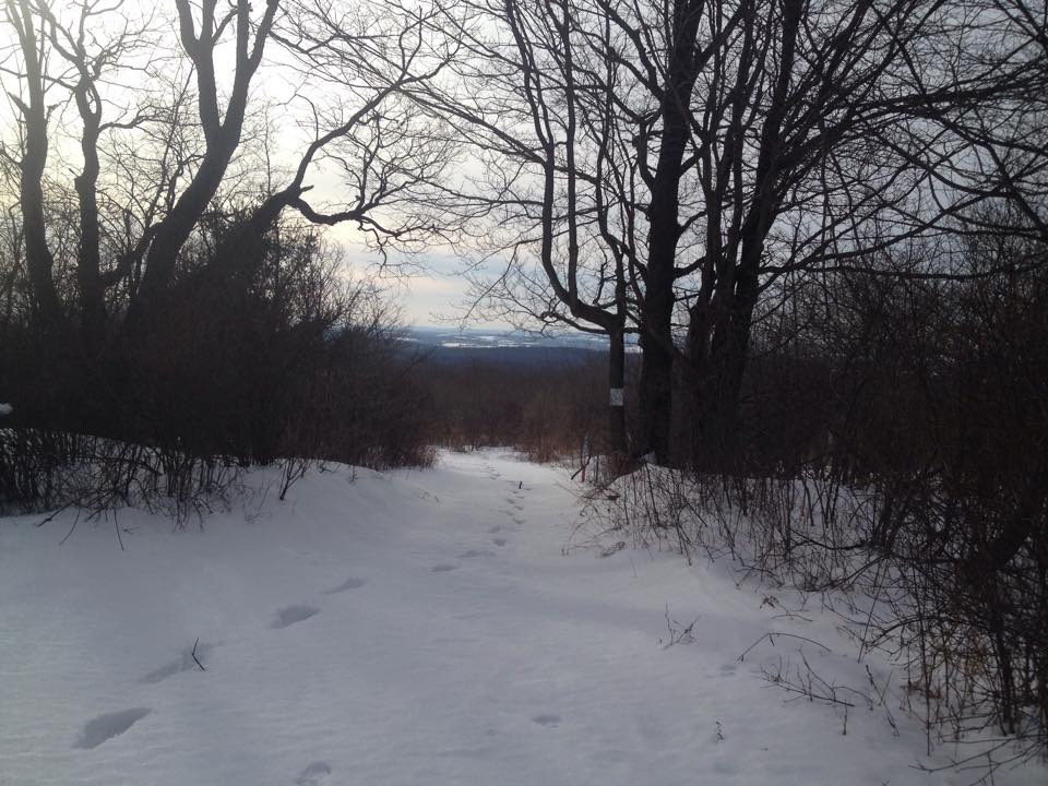 Winter Trail.jpg