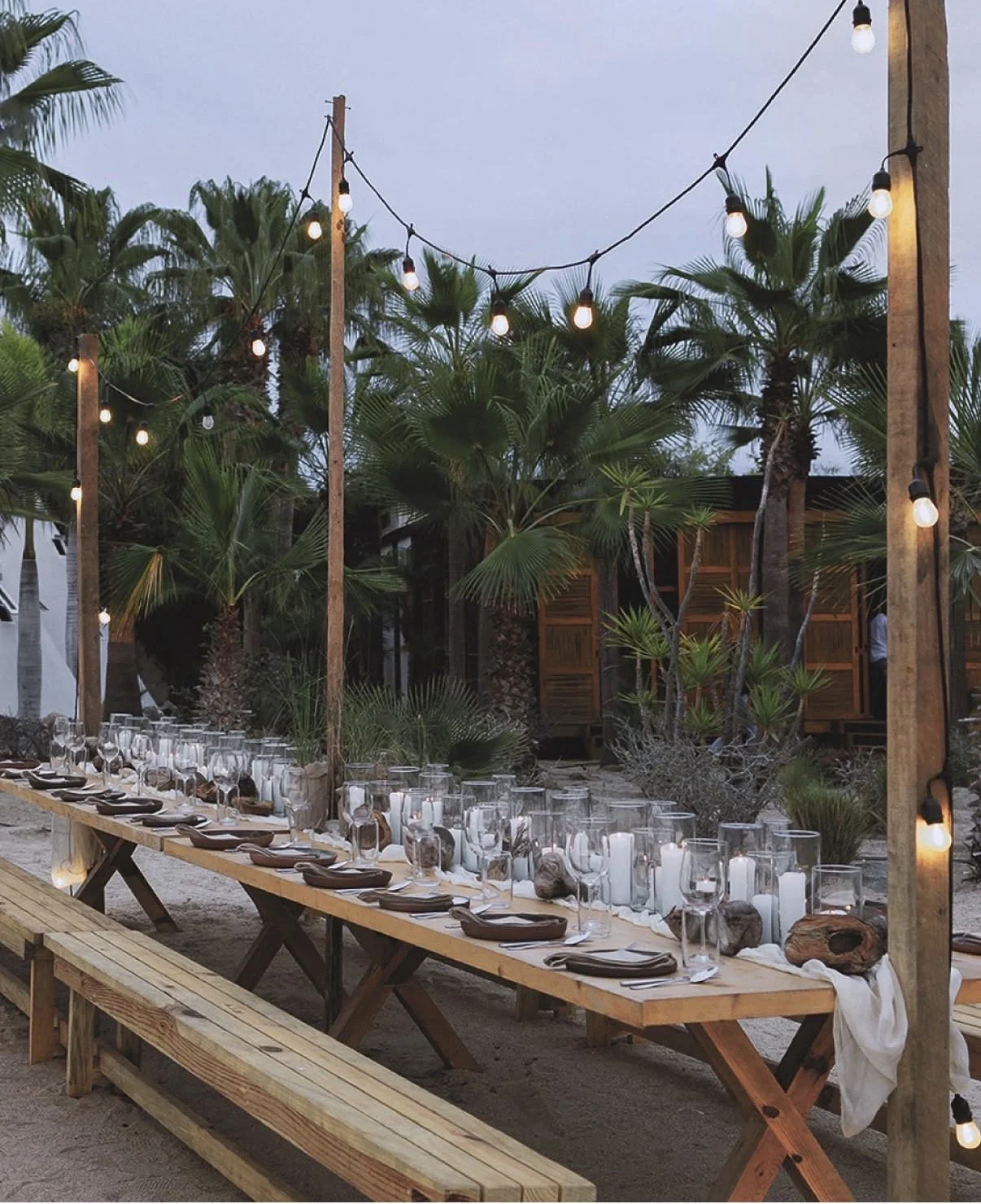 Todos Santos Dinner.jpg