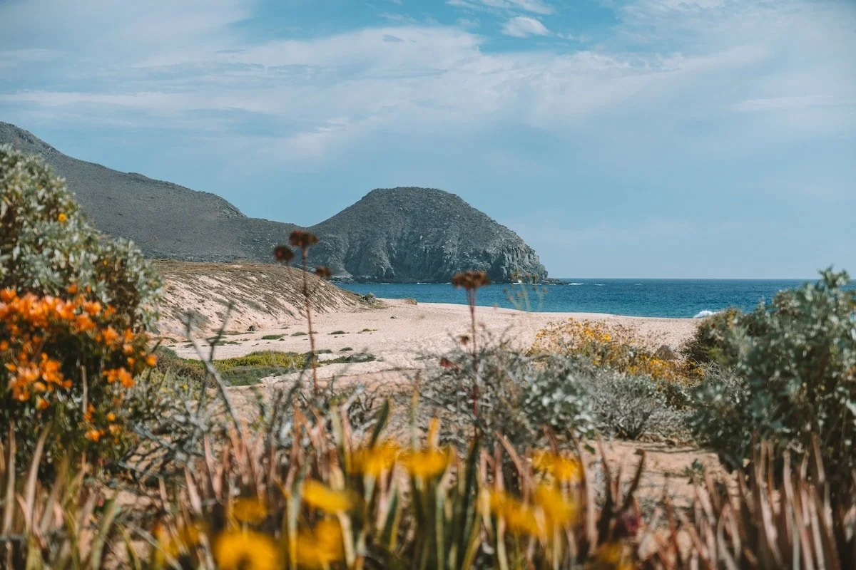 Todos Santos Beach.jpg