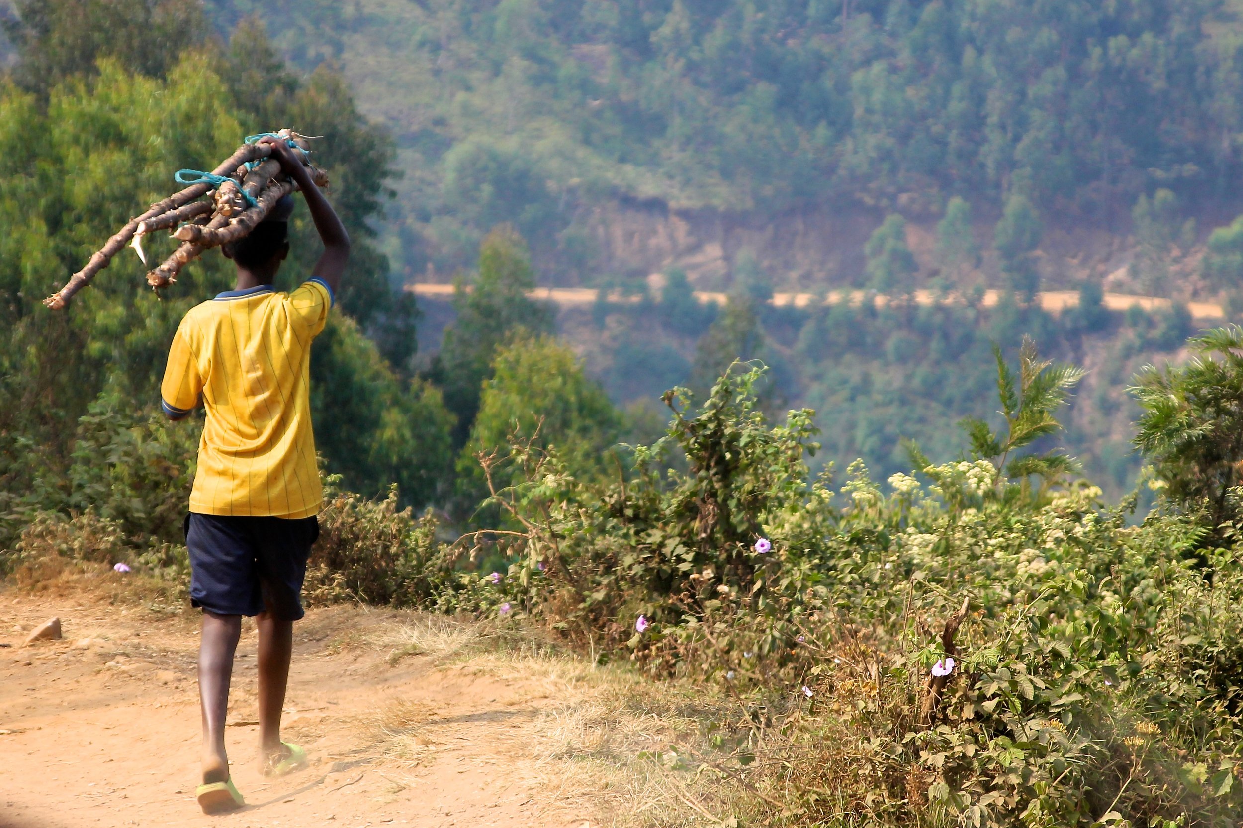 refugee boy carrying firewood on his head