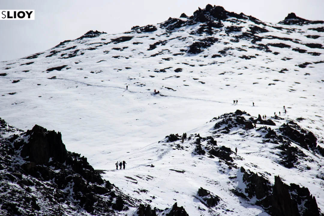 contentedtraveller.com