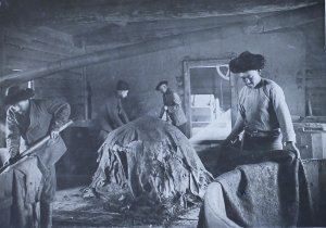 The first industrial enterprises of artisan type appeared in Karakol in the early 70s of the XIX century. These were water mills on the river in the north of town. At the time, there were only five. The first industrial enterprise of Karakol can be considered the Toropkin brewery, founded in 1882. 