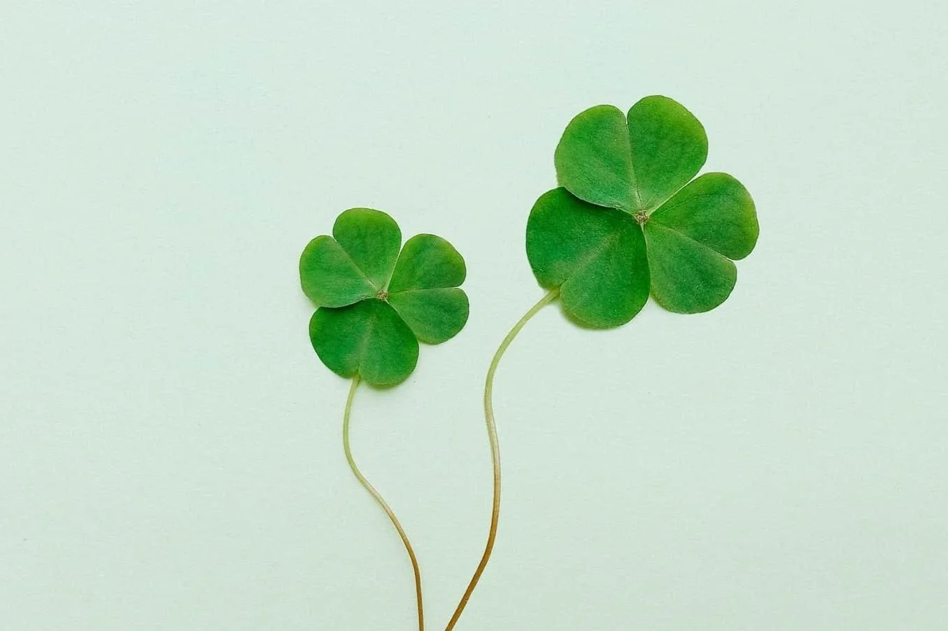 Survey finds workplace age discrimination on the rise in Ireland