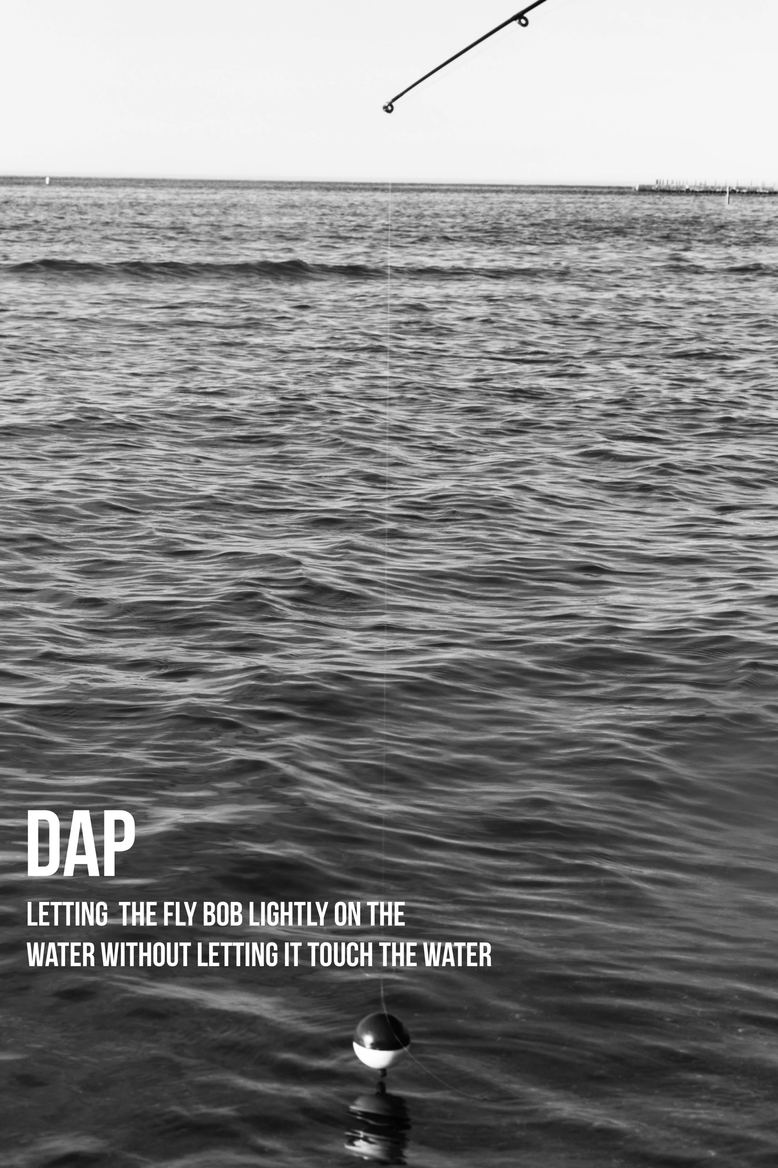 DapLeft.jpg