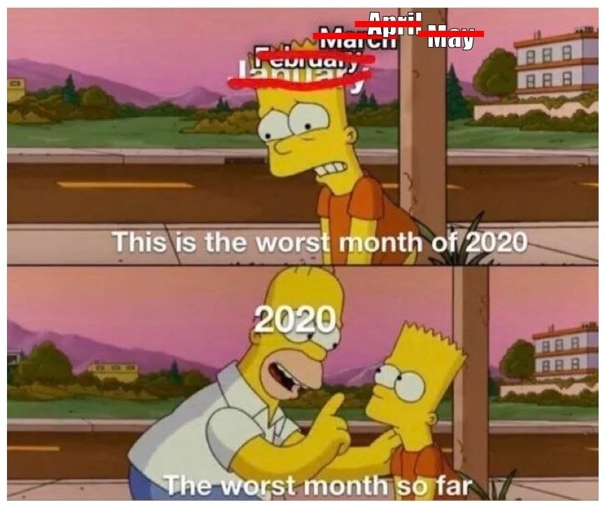 2020 Meme.jpeg
