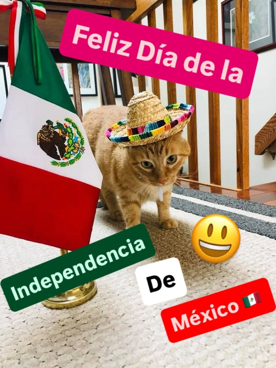 Siempre es emocionante y conmovedor ver las fiestas patrias de mi tierra 🥹🇲🇽. 

&iexcl;215 a&ntilde;os de celebrar El Grito de Independencia!

#inventivaworks #independenciamexicana #mexicanindependenceday #gritomexicano #tradicionycultura #hispan