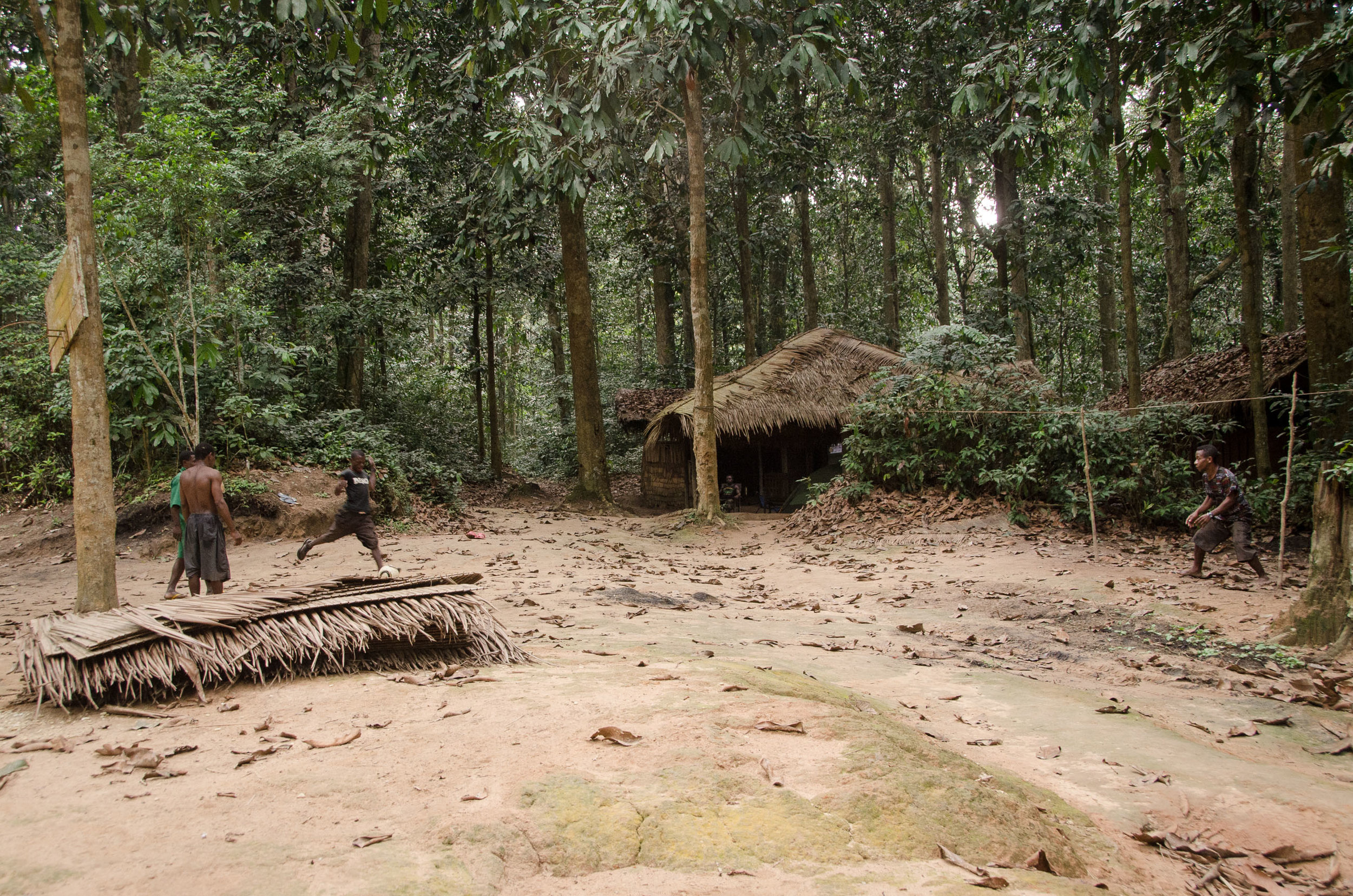 Africa-JungleFoot-web.jpg