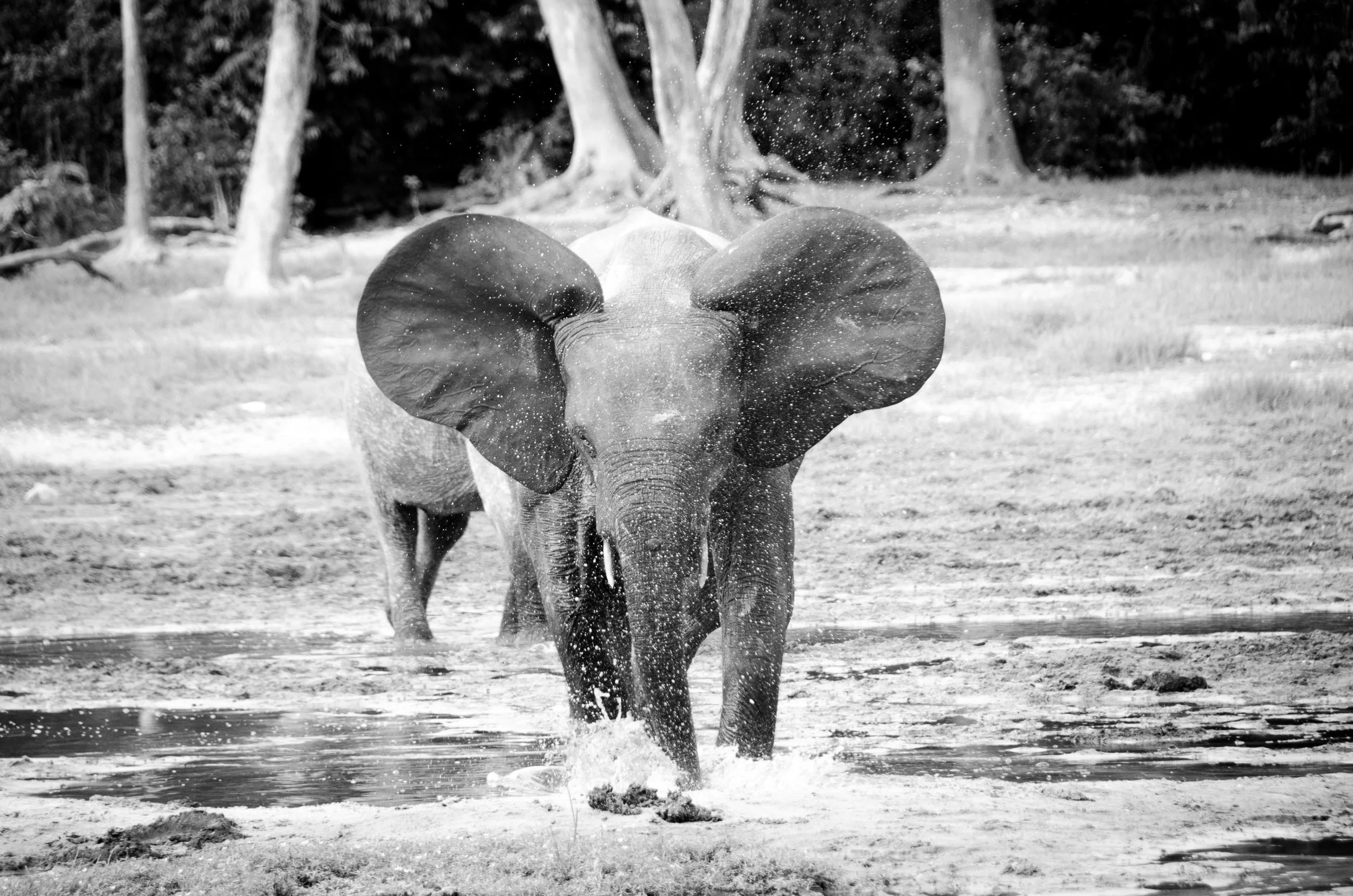 Africa-ComingAtYou-web.jpg