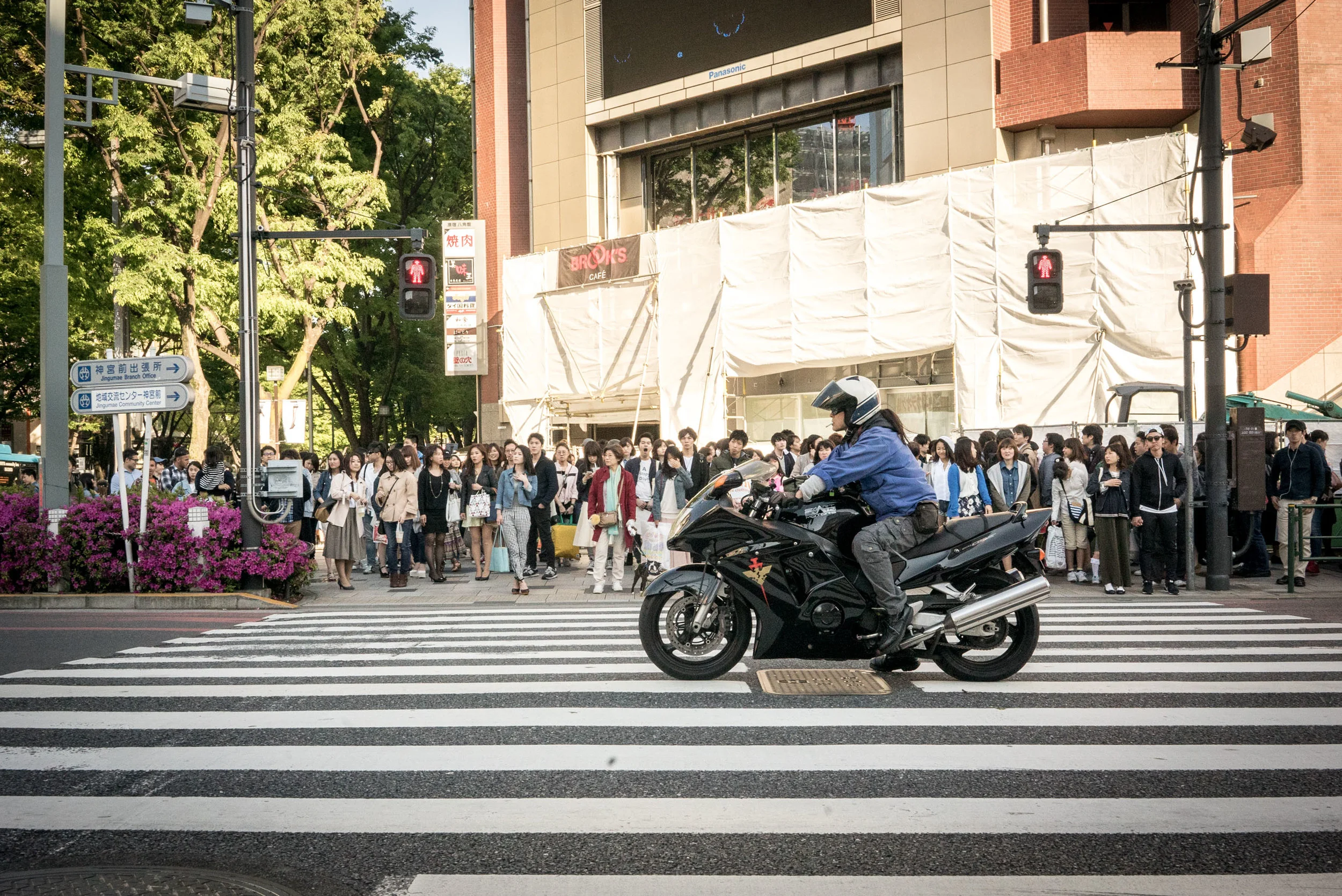 Tokyo-BigBossBusa.jpg
