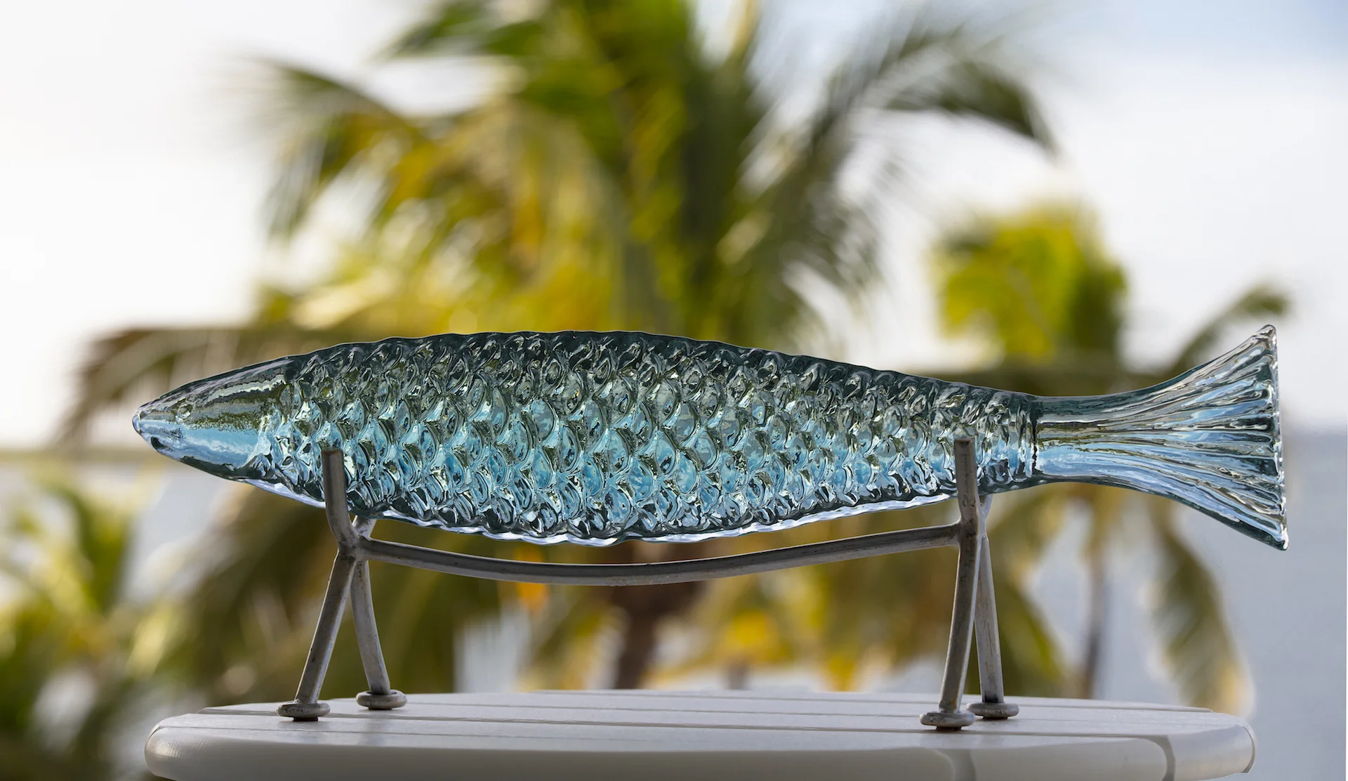 glass fish creative image