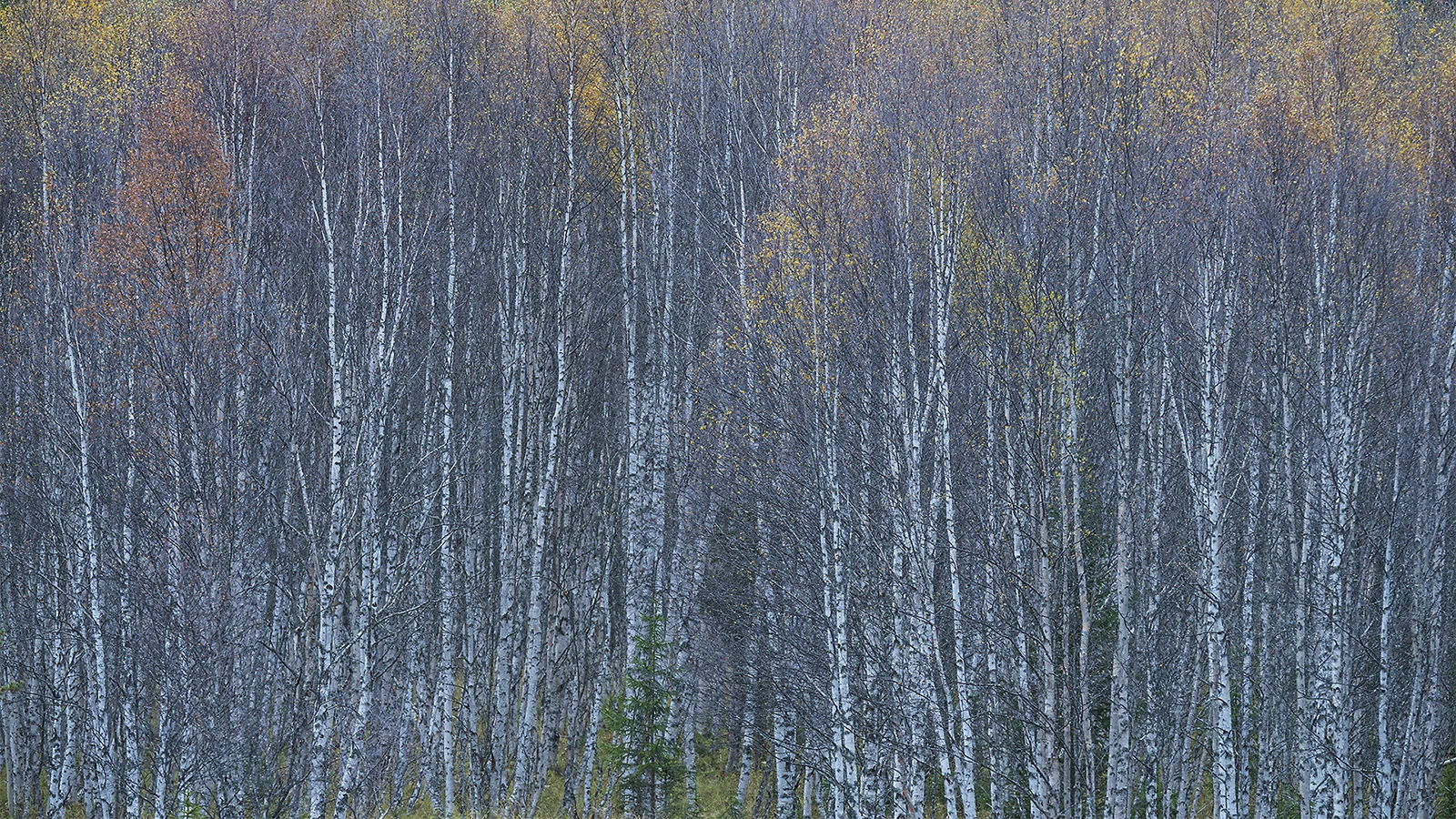 131092_DSC4859.jpg