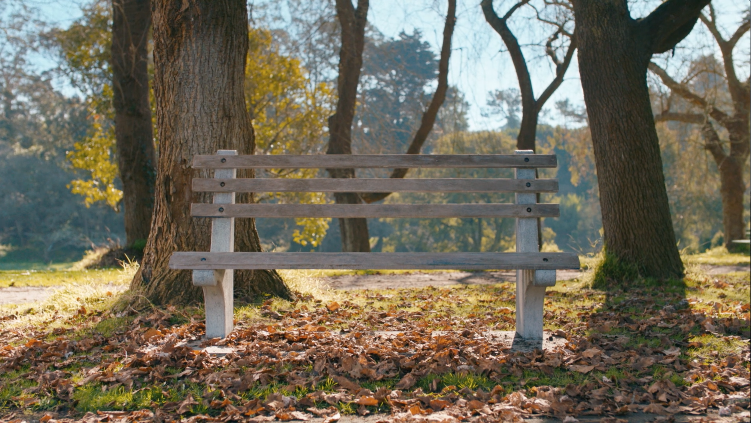 Screen Shot 2016-07-31 at 2.43.52 PM.png