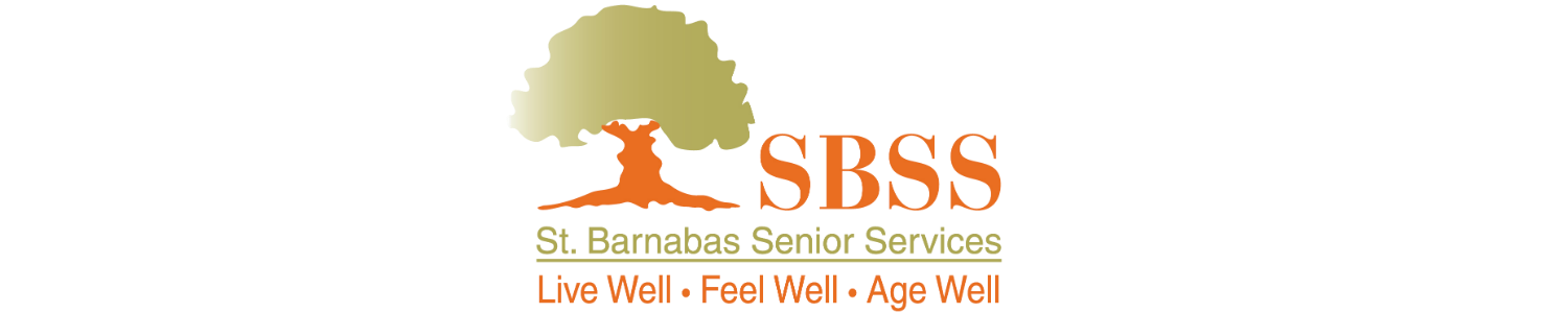 SBSS Logo banner centered FINAL 12-1-14 - medium.png