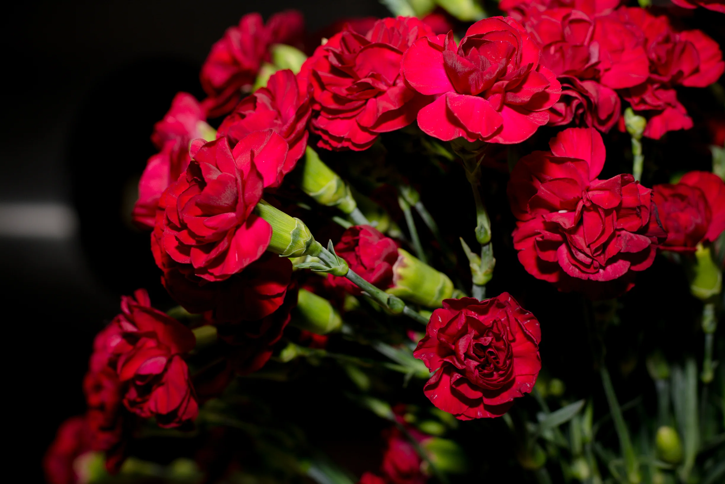 121317_WW_XmasCenterpieces-7 copy.jpg